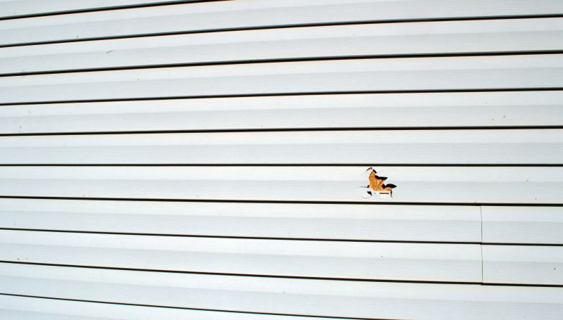 Final Inspection of Vinyl Siding